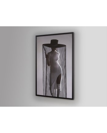 DIVA- CUADRO LUZ LED 80X120